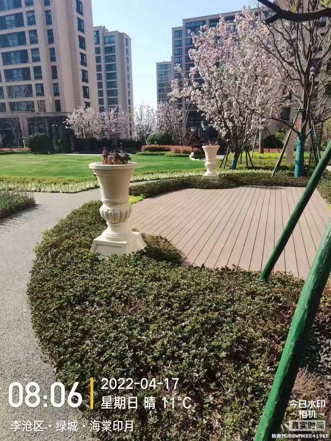 山东青岛绿城海棠印月